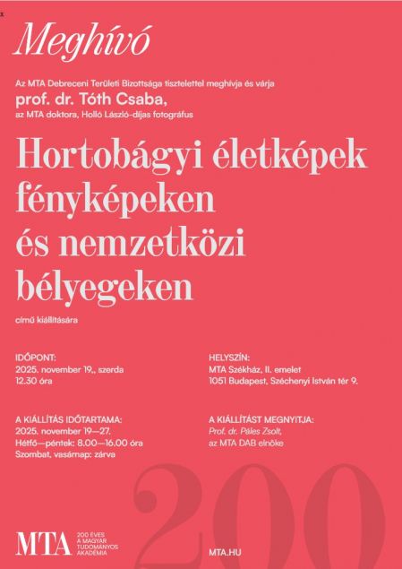 Tóth Csaba kiállítás.jpg